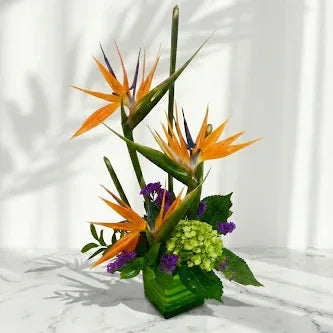 Bird of Paradise Bouquet with Green Hydrangea - atfleurs