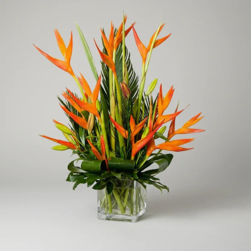 Bird of Paradise Bouquet with Fresh Green Foliage - atfleurs