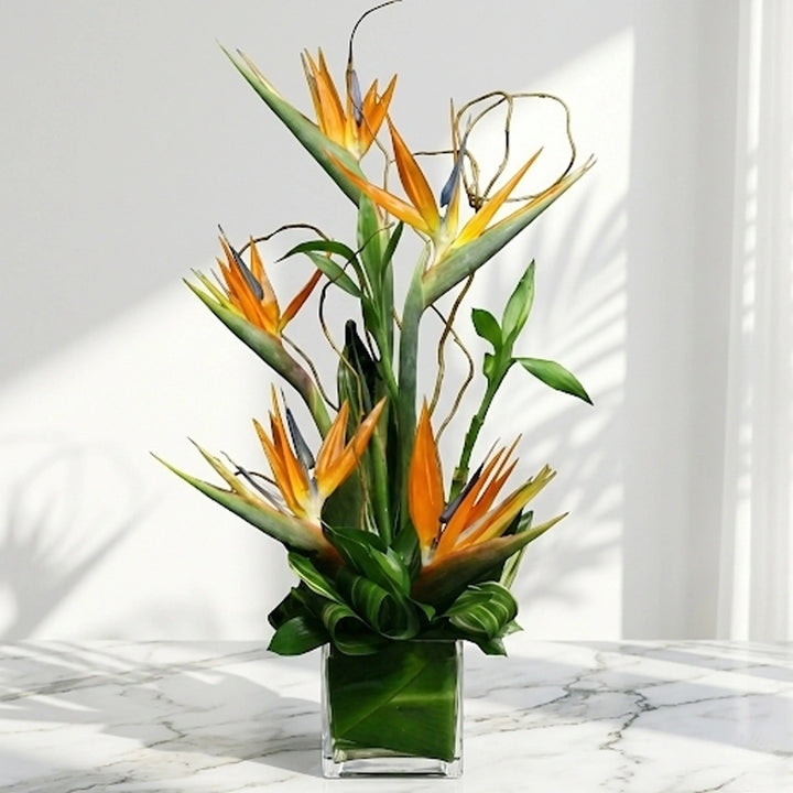 Bird of Paradise Bouquet with Tropical Green Foliage - atfleurs