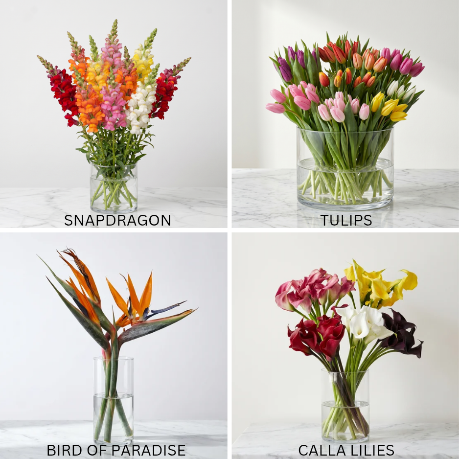 Flower Bar