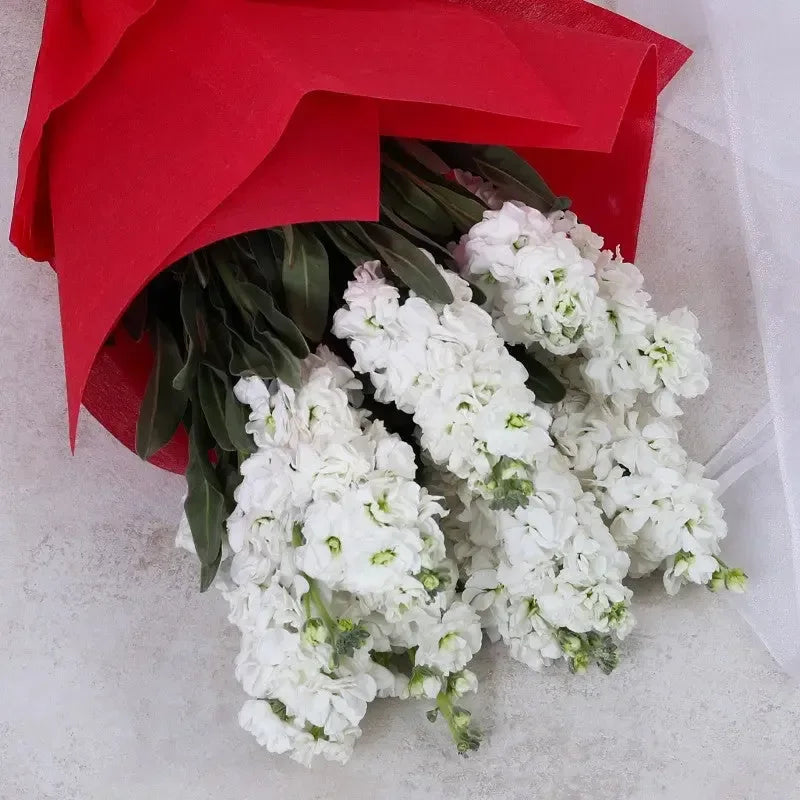 Elegant White Stock Flower Hand Bouquet - atfleurs