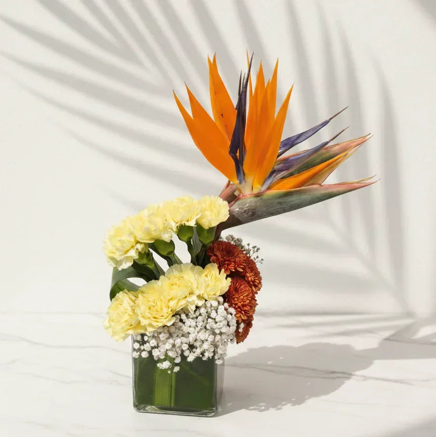 Bird of Paradise Bouquet with Carnations - atfleurs