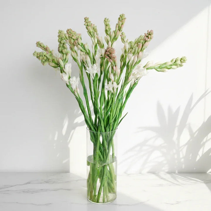 White Tuberose Bouquet with Green Foliage - atfleurs