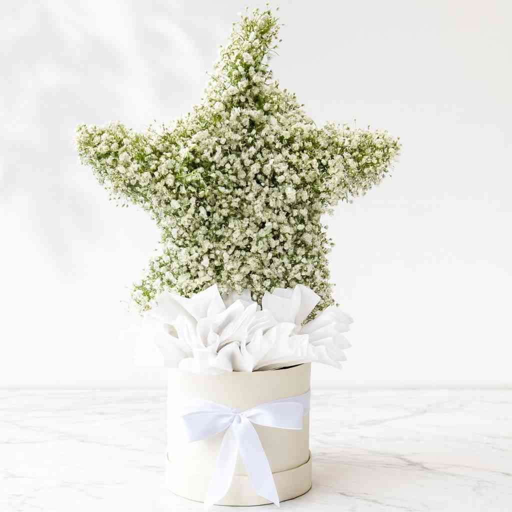 Star-shaped arrangement of white flowers in a container with a white bow on a light background, Fancy Flowers